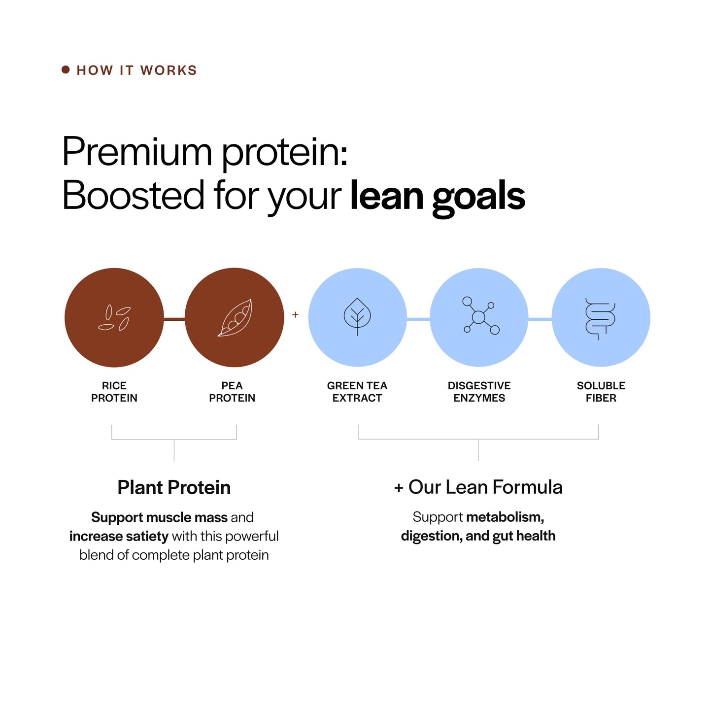 Lean Plant Protein