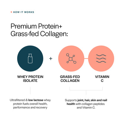 Collagen Whey Protein